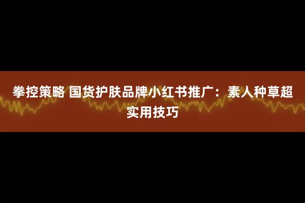 拳控策略 国货护肤品牌小红书推广：素人种草超实用技巧