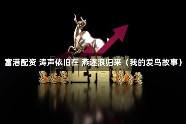 富港配资 涛声依旧在 燕逐浪归来（我的爱鸟故事）