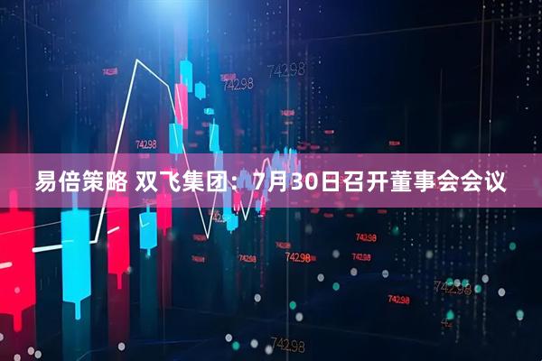 易倍策略 双飞集团：7月30日召开董事会会议